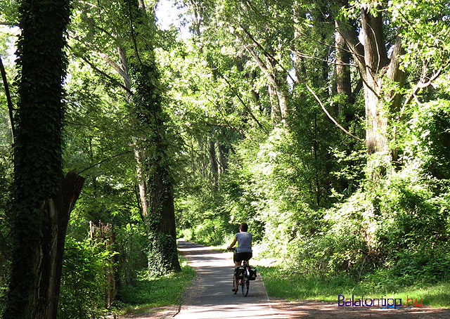 Keszthelyi dzsungel Balatoni bicikliút bringakörút 