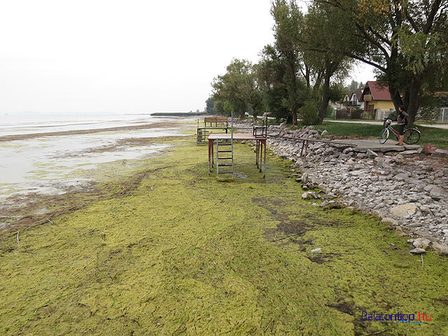 Balatonszemes Berzsenyi utca szárazon