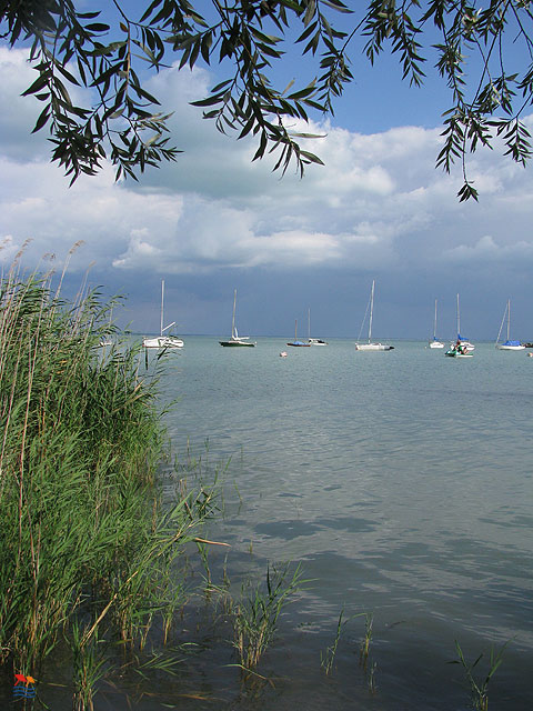 K�sz�tette: Varga Judit Veronika - Balatonalm�di - 2008.07.
V�rakoz�k