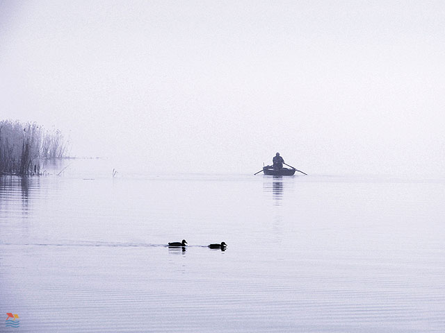 K�sz�tette: Zdravics B�la - Balatonf�zf� - 2009. december
T�li reggel