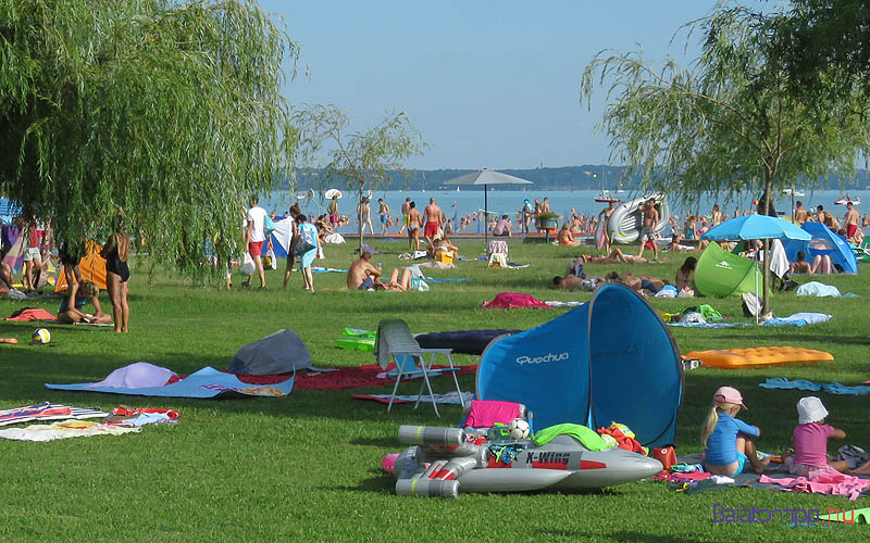 A strand területe a még fiatal fák miatt jellemzően napos