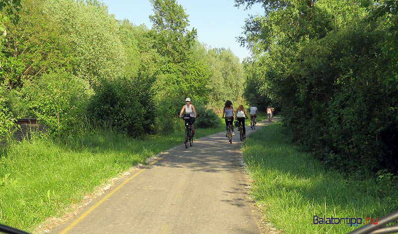 Vonyarcvashegy-Balatongyorok-balatontipp-gyorffya