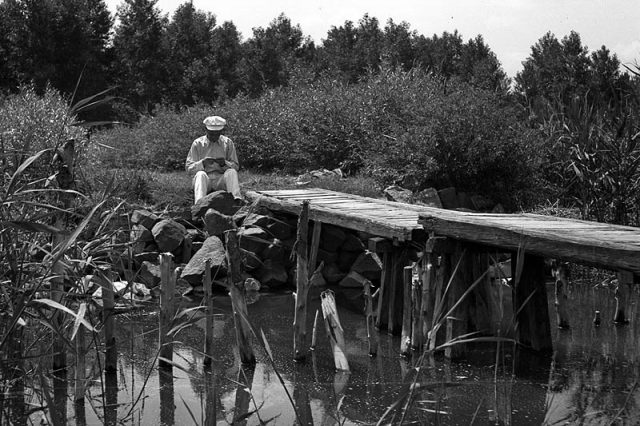 Balatonmáriafürdői strandbejáró 1942-ben - fotó Lissák Tivadar - Fortepan.hu