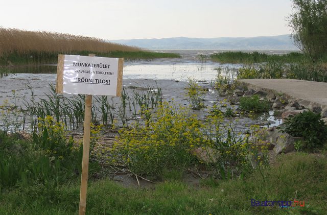 Az Őrház utcai strand partközeli része áprilisban Balatonmáriafürdőn