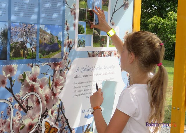 A Balaton növény- és állatvilágát bemutató interaktív fal