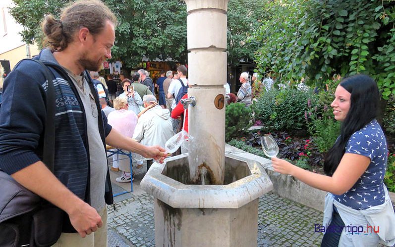 A szervezők külön pohármosó szolgálatot is működtettek, de az utcai kutak is nagyon hasznosnak bizonyultak két különböző karakterű bor között