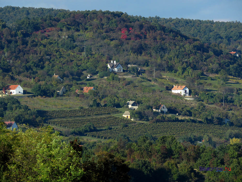 A Derék-hegy oldala 