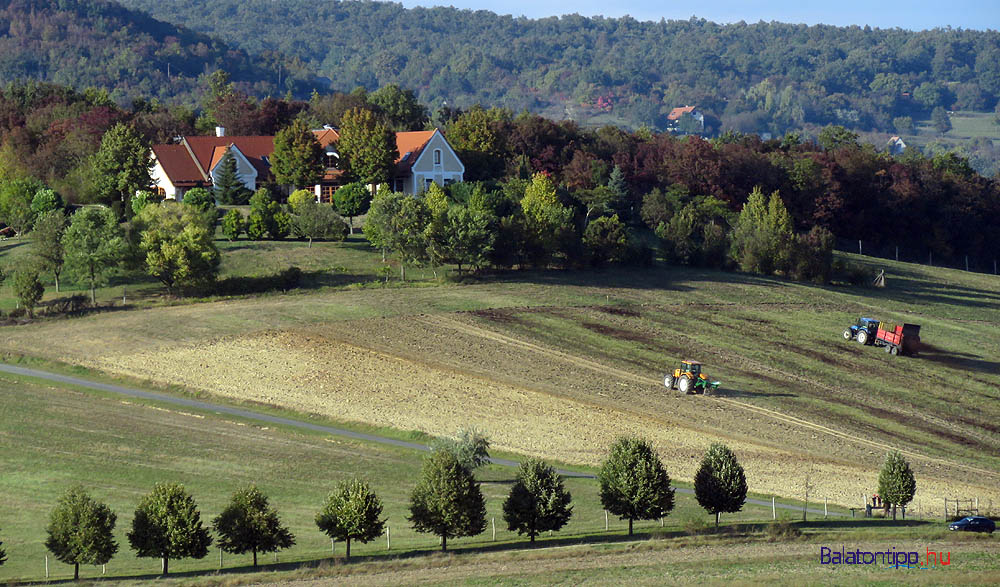 A traktorok a Kósa-hegy oldalán a Pécselyi-medencében