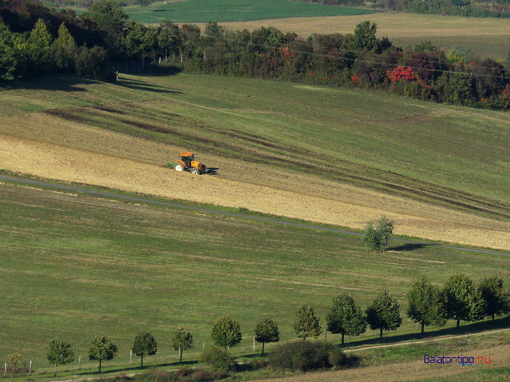 Traktor a Kósa-hegy oldalán 