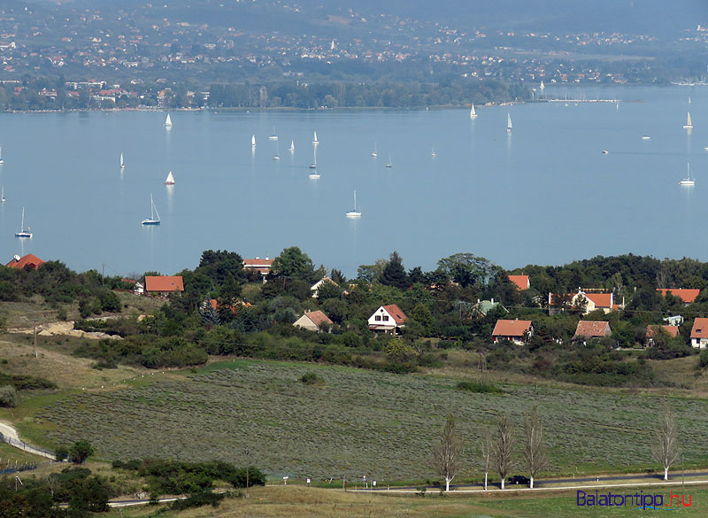 apati-hegyi_kilato-levendulas-godros-paloznak-csopakfele-tihany-balatontipp-gyorffya