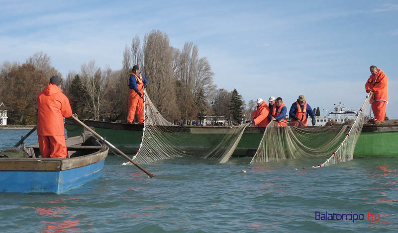 tihany-gardafesztival-latvanyhalaszet-balatontipp-gyorffya