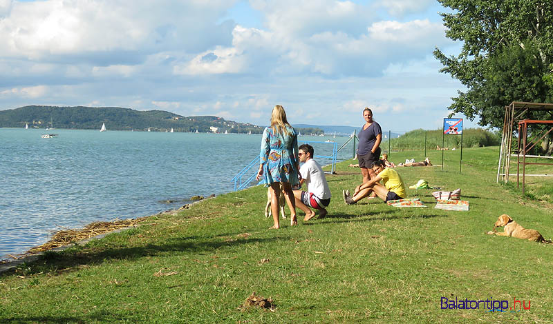 Egy augusztus végi csendes nap a "kutyabarát strandon"