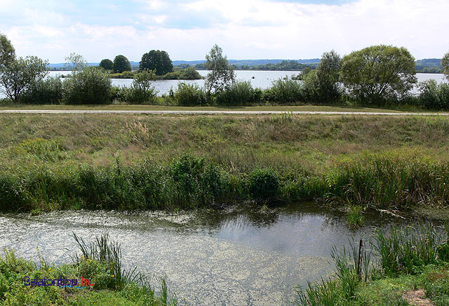 Kis-Balaton bicikliut madarak természet