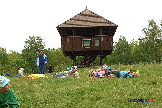 Kis-Balaton Kányavári-sziget kilátó