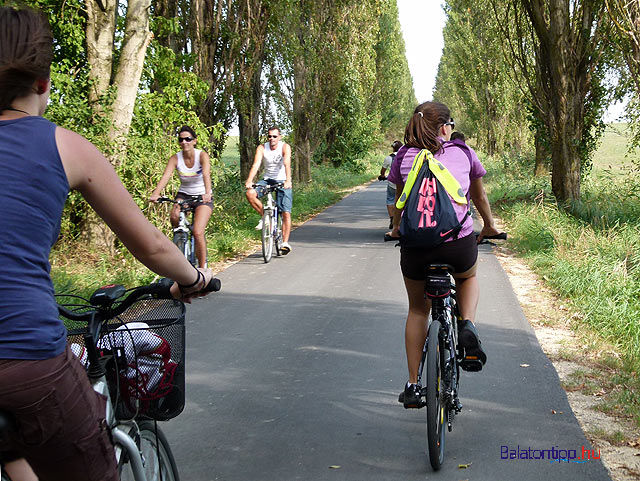 Kis-Balaton Kányavári-sziget