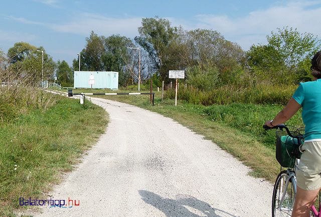 Kis-Balaton hídvégi Zala-híd madárles Zimányi árok