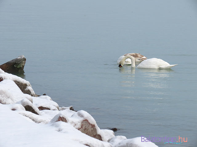 Balatonszepezd téli strand balatontipp.hu 