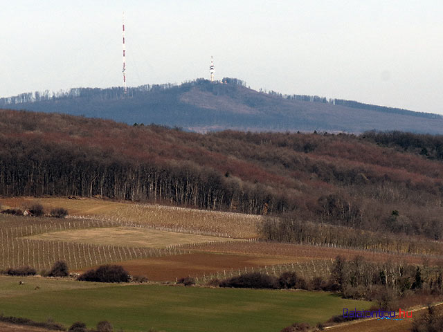 Hegyestű Balaton-felvidék   kilátás a Kab-hegy felé