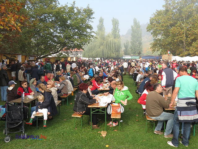 Szigliget Süllőfesztivál Balaton