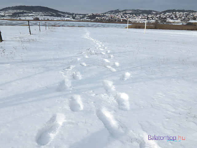 Tihanyi Belső-tó jeges lábnyomok a hóban