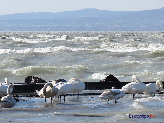 Kiöntött a haragos Balaton Siófoknál az Aranyparton