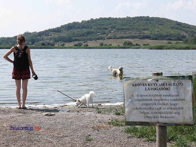 Tihany kutyabarát strand