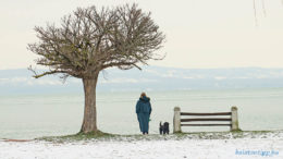 Balatonszárszó Tóparti park