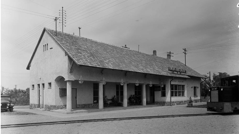 A balatonfenyvesi kisvasút állomás 1956-ban